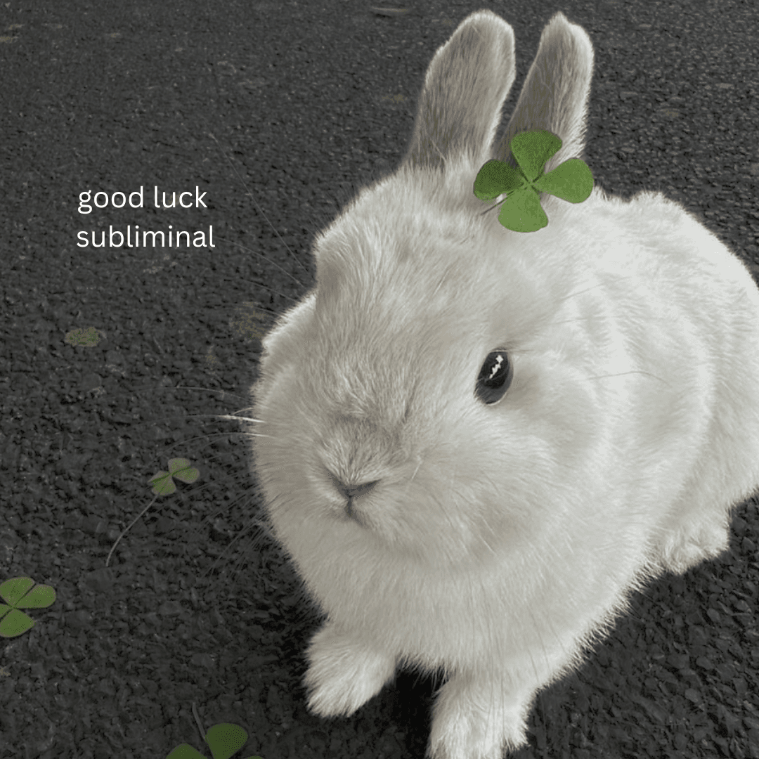 Good Luck Subliminal